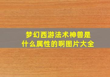 梦幻西游法术神兽是什么属性的啊图片大全