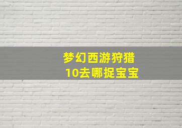 梦幻西游狩猎10去哪捉宝宝