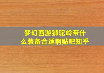 梦幻西游狮驼岭带什么装备合适啊贴吧知乎