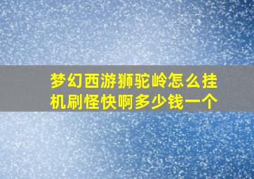 梦幻西游狮驼岭怎么挂机刷怪快啊多少钱一个