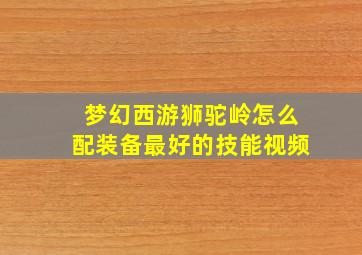 梦幻西游狮驼岭怎么配装备最好的技能视频