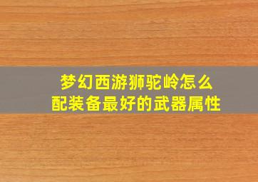 梦幻西游狮驼岭怎么配装备最好的武器属性