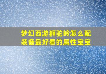 梦幻西游狮驼岭怎么配装备最好看的属性宝宝