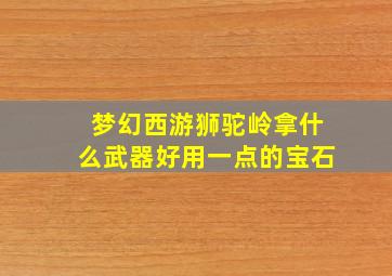 梦幻西游狮驼岭拿什么武器好用一点的宝石