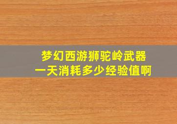 梦幻西游狮驼岭武器一天消耗多少经验值啊