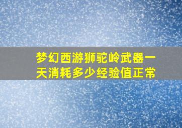 梦幻西游狮驼岭武器一天消耗多少经验值正常