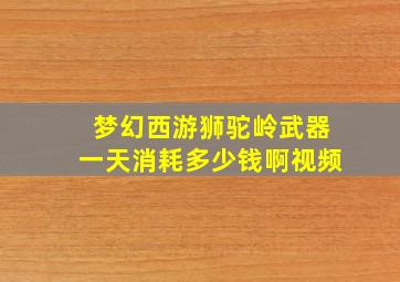 梦幻西游狮驼岭武器一天消耗多少钱啊视频