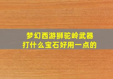 梦幻西游狮驼岭武器打什么宝石好用一点的