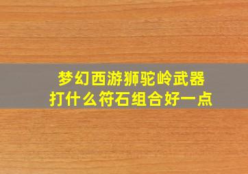 梦幻西游狮驼岭武器打什么符石组合好一点