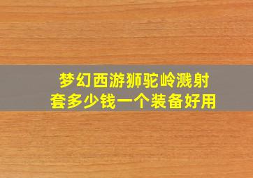 梦幻西游狮驼岭溅射套多少钱一个装备好用