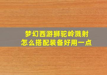 梦幻西游狮驼岭溅射怎么搭配装备好用一点