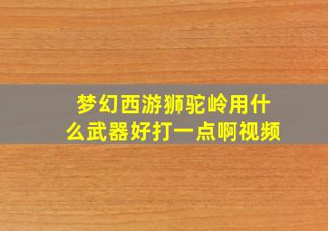 梦幻西游狮驼岭用什么武器好打一点啊视频