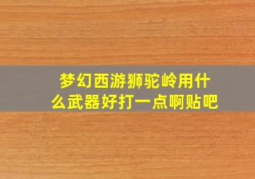 梦幻西游狮驼岭用什么武器好打一点啊贴吧