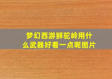 梦幻西游狮驼岭用什么武器好看一点呢图片