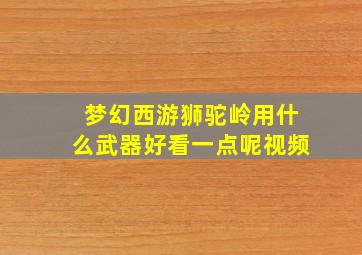 梦幻西游狮驼岭用什么武器好看一点呢视频