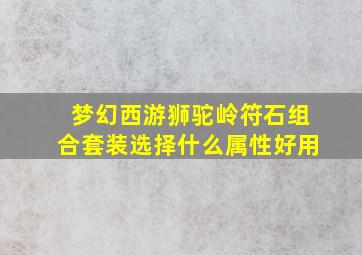 梦幻西游狮驼岭符石组合套装选择什么属性好用