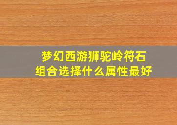 梦幻西游狮驼岭符石组合选择什么属性最好