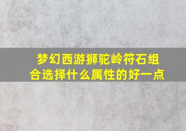 梦幻西游狮驼岭符石组合选择什么属性的好一点