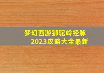 梦幻西游狮驼岭经脉2023攻略大全最新