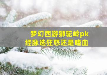 梦幻西游狮驼岭pk经脉选狂怒还是嗜血