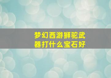 梦幻西游狮驼武器打什么宝石好