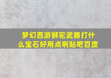 梦幻西游狮驼武器打什么宝石好用点啊贴吧百度