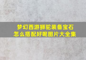 梦幻西游狮驼装备宝石怎么搭配好呢图片大全集