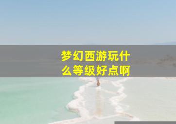 梦幻西游玩什么等级好点啊