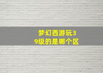 梦幻西游玩39级的是哪个区