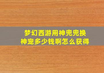 梦幻西游用神兜兜换神宠多少钱啊怎么获得