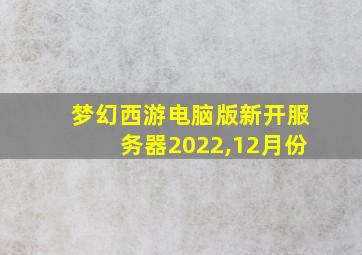 梦幻西游电脑版新开服务器2022,12月份