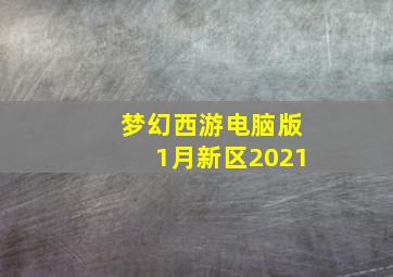 梦幻西游电脑版1月新区2021