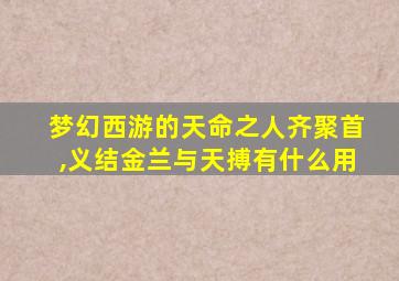 梦幻西游的天命之人齐聚首,义结金兰与天搏有什么用