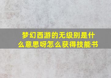 梦幻西游的无级别是什么意思呀怎么获得技能书