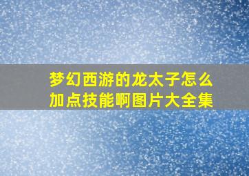 梦幻西游的龙太子怎么加点技能啊图片大全集