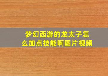 梦幻西游的龙太子怎么加点技能啊图片视频