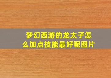 梦幻西游的龙太子怎么加点技能最好呢图片