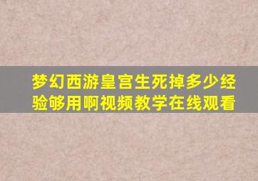 梦幻西游皇宫生死掉多少经验够用啊视频教学在线观看