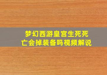 梦幻西游皇宫生死死亡会掉装备吗视频解说