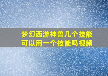 梦幻西游神兽几个技能可以用一个技能吗视频