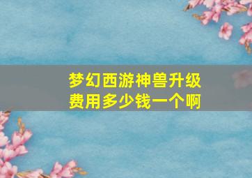 梦幻西游神兽升级费用多少钱一个啊