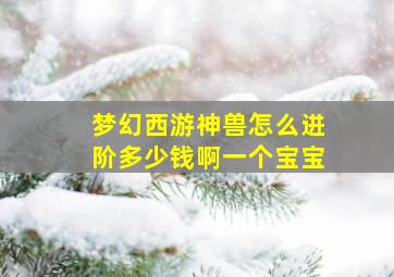 梦幻西游神兽怎么进阶多少钱啊一个宝宝