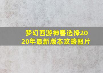 梦幻西游神兽选择2020年最新版本攻略图片