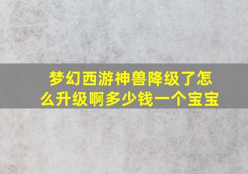 梦幻西游神兽降级了怎么升级啊多少钱一个宝宝