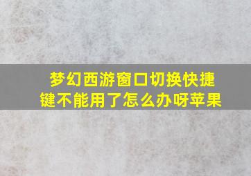 梦幻西游窗口切换快捷键不能用了怎么办呀苹果