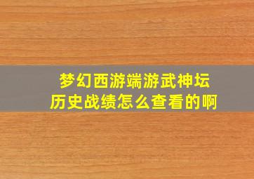 梦幻西游端游武神坛历史战绩怎么查看的啊