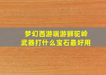 梦幻西游端游狮驼岭武器打什么宝石最好用