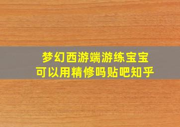 梦幻西游端游练宝宝可以用精修吗贴吧知乎