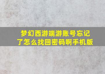 梦幻西游端游账号忘记了怎么找回密码啊手机版