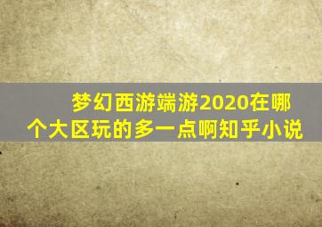 梦幻西游端游2020在哪个大区玩的多一点啊知乎小说